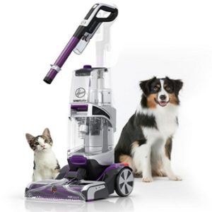 Clean Up Pet Messes with the Hoover Smartwash
